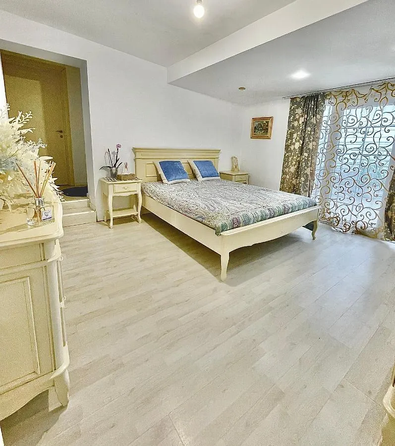 Villa Casa In Inima Capitalei Bucarest Romania